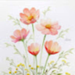 Meet your Posher, Gabby